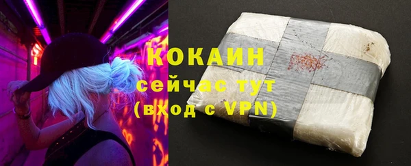 сатива Пересвет