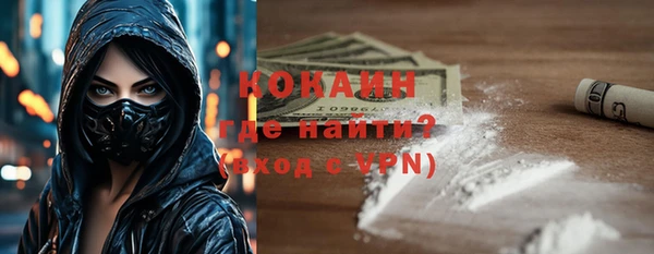 сатива Пересвет