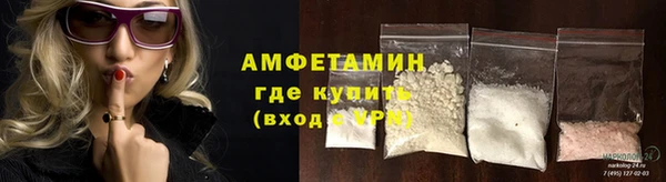 сатива Пересвет