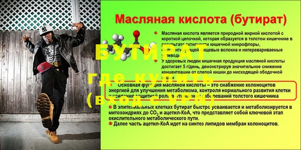 сатива Пересвет