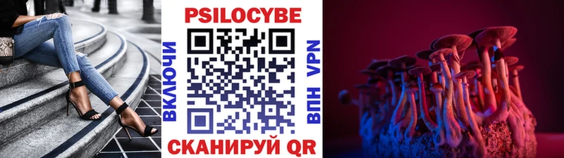 Купить где  Черногорск  Галлюциногенные грибы мухоморы 